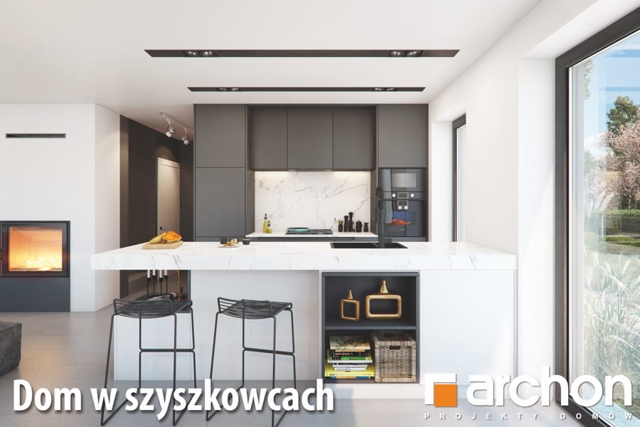 Szyszkowce wiz
