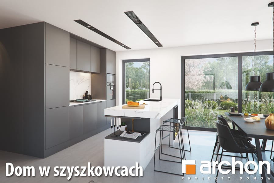 Szyszkowce wiz