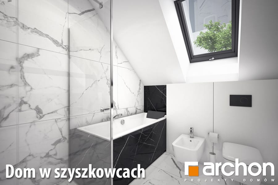 Szyszkowce wiz