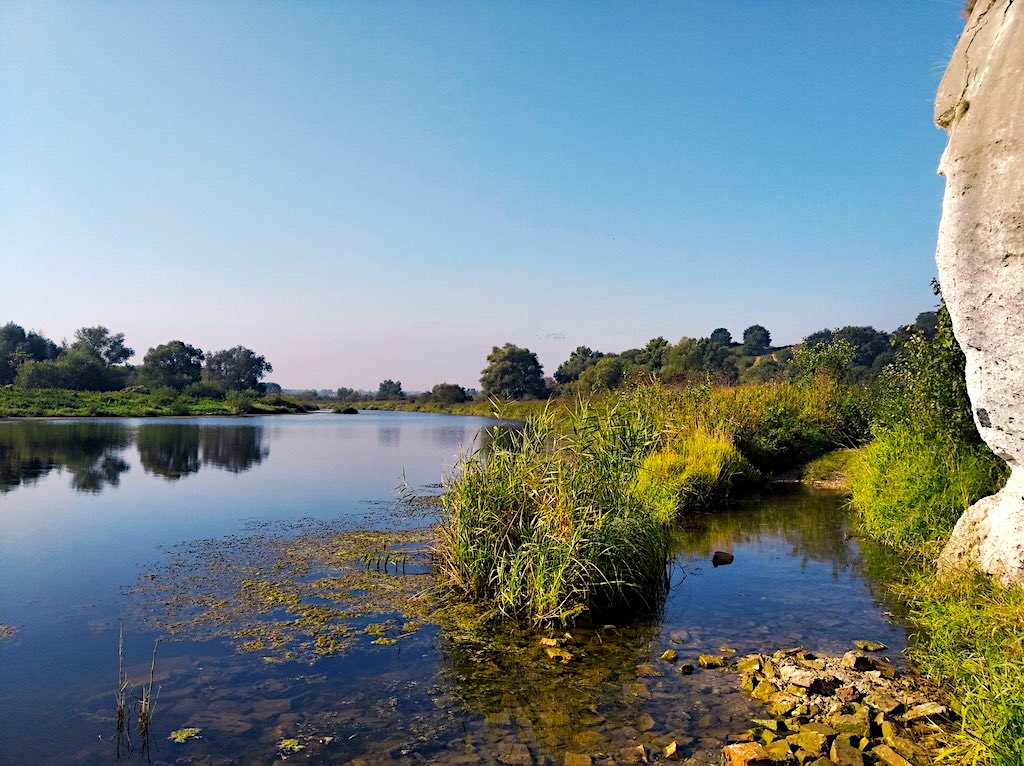 Wolowice Okolica 8