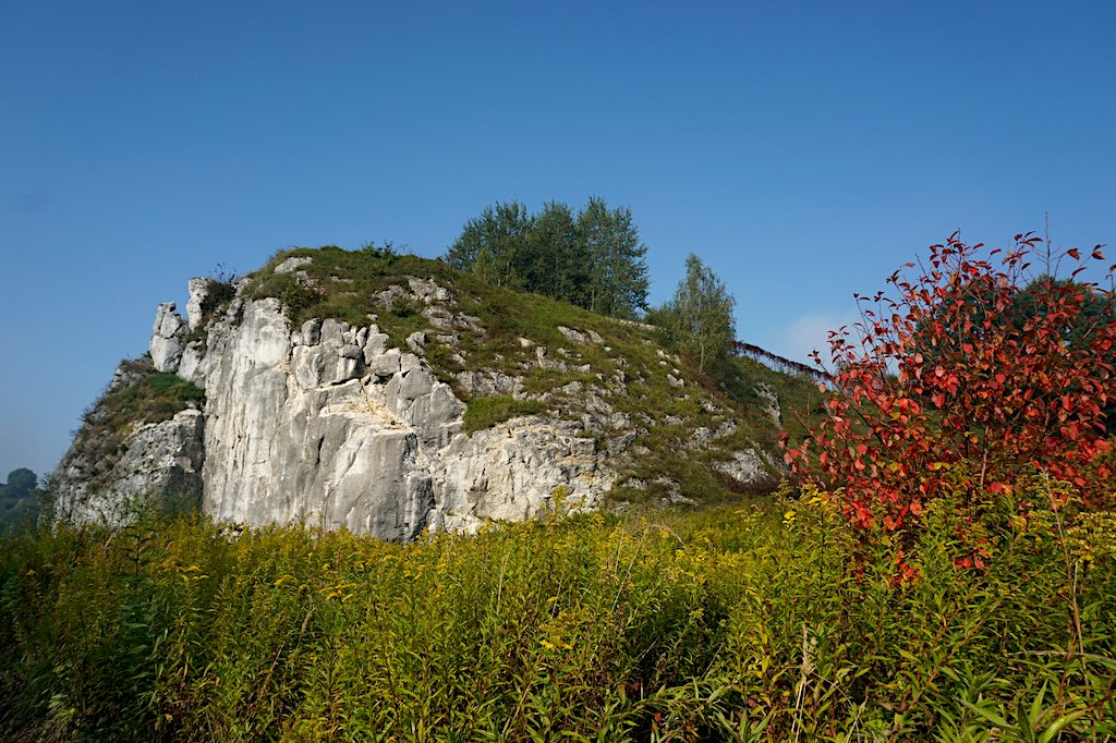 Wolowice Okolica 9